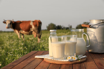Milk with camomiles on wooden table and cow grazing in meadow