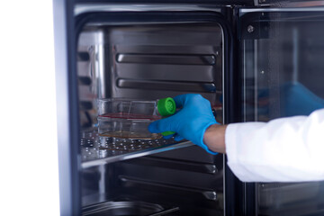 incubator
