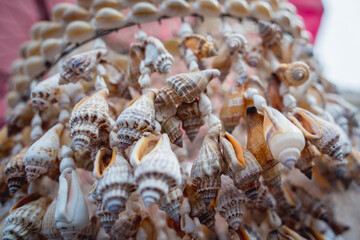 Handmade souvenir decorated with different sea shells