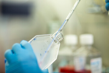 cell culture at the medicine and cell culture laboratory