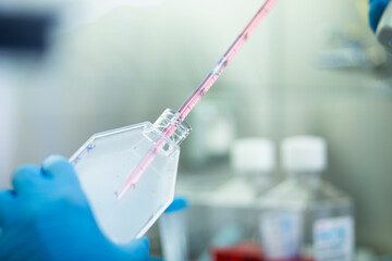 medicine, medical and biology laboratory photo