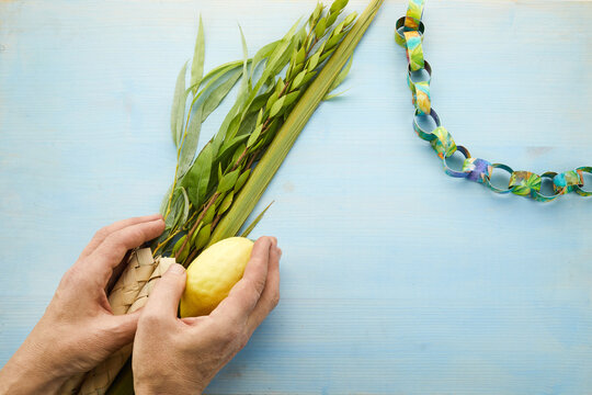 Jewish Festival Of Sukkot. Male Hands Holding Sukkot Festival Symbols