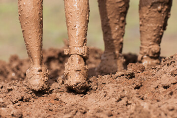 Mud race runners very muddy running shoes, muddy feet detail