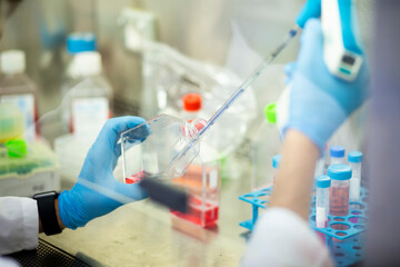 cell culture medicine and cell culture laboratory
