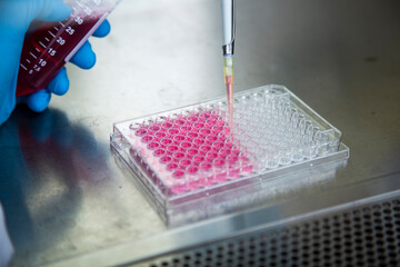 medical, medicine and cell culture laboratory