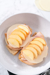 Provolone and Apple Grilled Cheese Sandwich