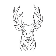 Fototapeta na wymiar Deer, hand draw. Vector, isolated on background