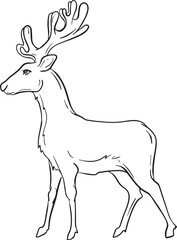 Vector Graphic animal boho illustration - black and white isolated deer for wedding, anniversary, birthday, invitations, logo, baby shower, etc.