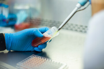 cell culture, medicine and biology laboratory