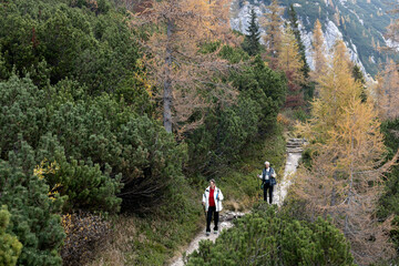 Fototapeta na wymiar Front View of Caucasian Senior Woman And Senior Man Hikers Descending From Mountain in Autumn