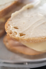 Provolone and Apple Grilled Cheese Sandwich