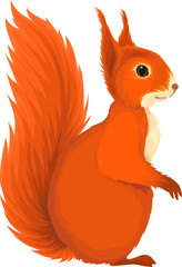 Squirrel.Cute woodland animal.Illustration.Adorable forest fauna.