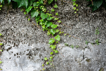 Gabion retaining wall made of concrete and stone in a mountainous terrain