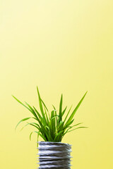 Natural green grass growing from a corrugated pipe on a gradient yellow background with copy space. The concept of zero carbon footprint from production, households.