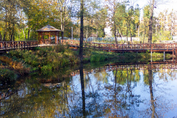 Fototapeta premium Autumn is coming. Autumn landscape of trees with beautiful yellow and green leaves, on a clear day, in the Krakow park.