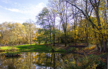 Fototapeta na wymiar Autumn is coming. Autumn landscape of trees with beautiful yellow and green leaves, on a clear day, in the Krakow park.