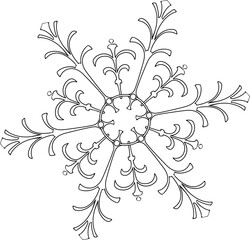 Snowflake.