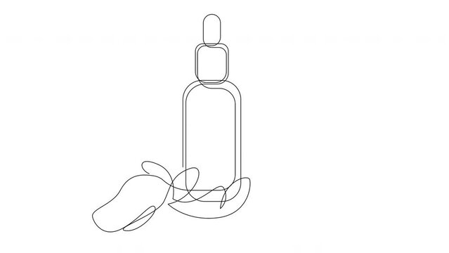 Cosmetic aromatherapy bottle and rose flower and petals. Self drawing animation of continuous one line art.