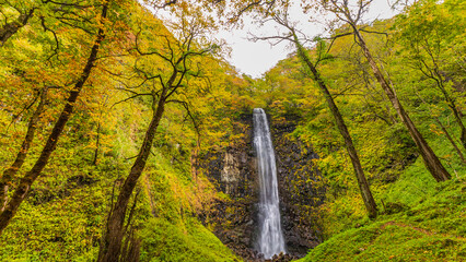 玉簾の滝と紅葉の森　山形県