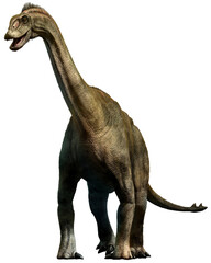 Shunosaurus from the Jurassic era 3D illustration	
