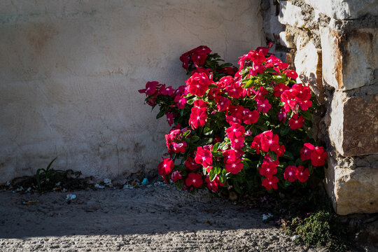 Herbstmomente auf Paros