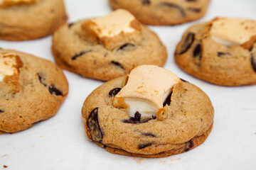 Delicious chocolate chip cookie with marshmallow, S'mores