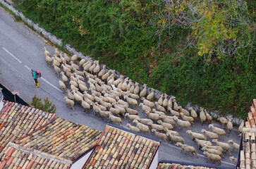 Pacentro (AQ) Abruzzo - With winter just around the corner, the shepherds leave for the transhumance to reach the warmest places along the tratturi of Abruzzo, Molise and Puglia