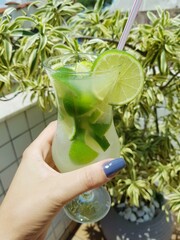 Typical brazilian Caipirinha cocktail green leaf background. Alcoholic drink from Brazil made with fruits and cachaça.