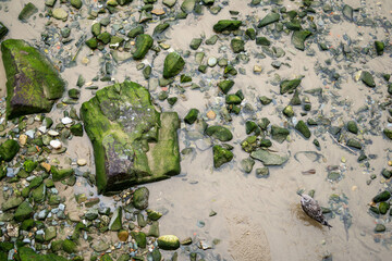 polluted drought space in a port of spain with green rocks
