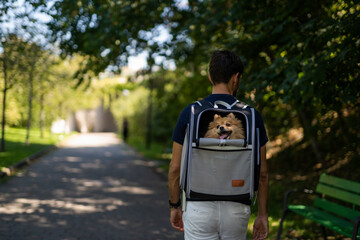 Young men walking with a pet carrier bag pack outdoors in the city