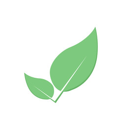 green leaf icon illustration