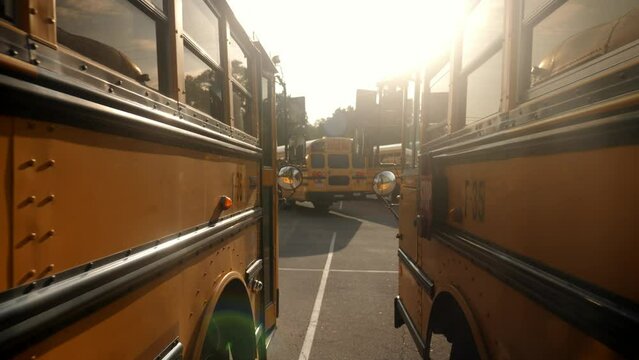 Between school buses