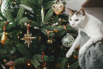 Cute cat together with woman decorating stylish christmas tree with vintage baubles. Pet and winter...