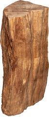 Holzscheit Buche 25 cm