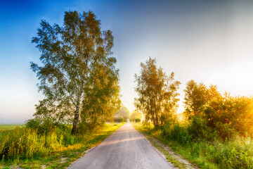 Landscape sunset in Narew river valley, Poland Europe, foggy misty meadows with trees, spring time	