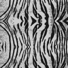 Fototapeta na wymiar Tiger skin pattern.Tiger print.Tiger skin texture 