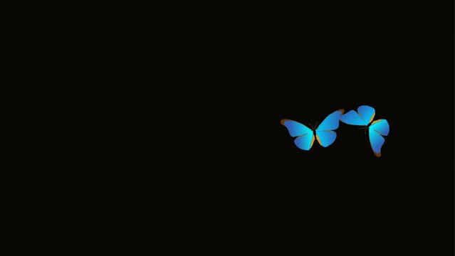 butterflies background and 2d animation, two butterflies 