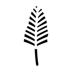 areca palm tropical leaf glyph icon vector. areca palm tropical leaf sign. isolated symbol illustration