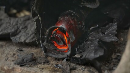 Burnt paper rosette smolders