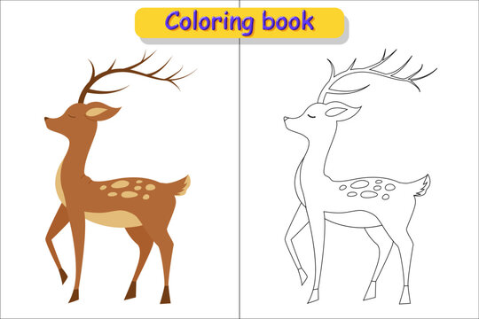 Cartoon deer for children coloring book in color and contour