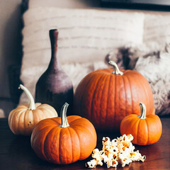 pumpkins and gourds with popcorn