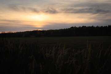 Sunset over agricultural field and forest. Rural landscape before night. Dramatic sky