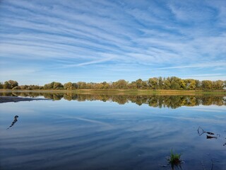 reflection of trees in the water