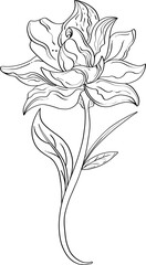 Hand drawn black contour of lily flowers for background, texture, wrapper pattern, frame or border.