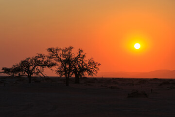 Naklejka na ściany i meble Sunrise over Sossusvlei, the Namib-Naukluft National Park of Namibia.