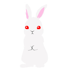 A white rabbit standing up