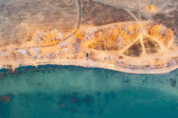 autumn landscape with trees from a bird's-eye view