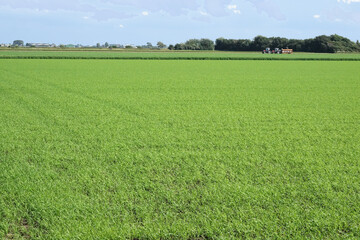 Farmerland behind the dikes of Noord Holland