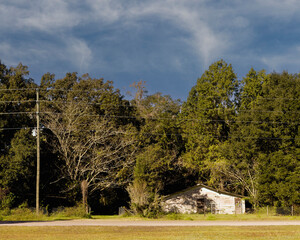 A landscape with trees and an old abandoned building and a soft blue sky