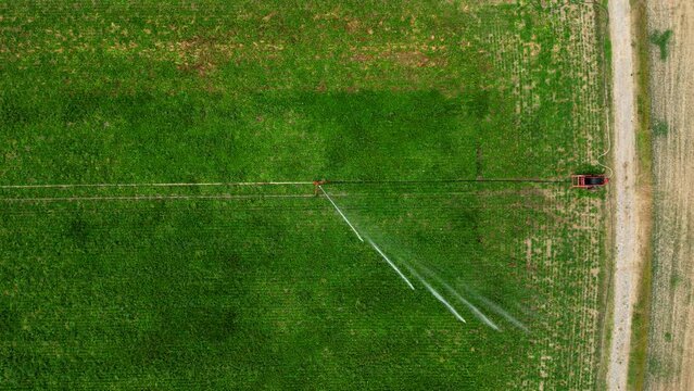 Luftaufnahme der Landwirtschaft Bew&auml;sserung und Felder mit Sprinkler der Wasser spr&uuml;ht